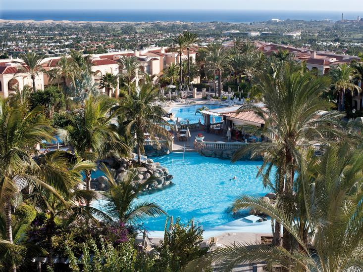 Palm Oasis 2