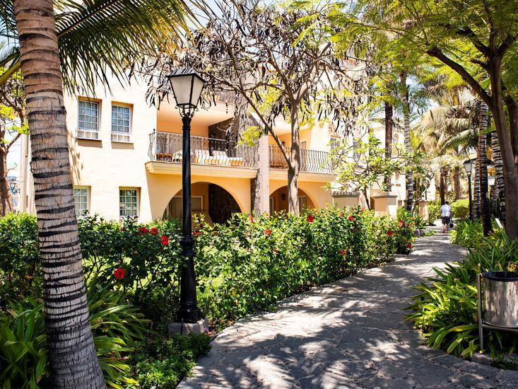 Palm Oasis 3