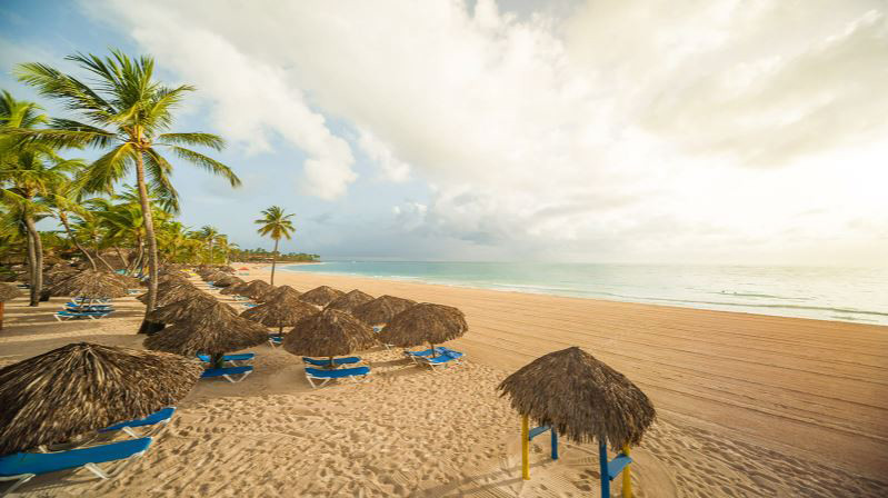 Tropical Deluxe Princess 67