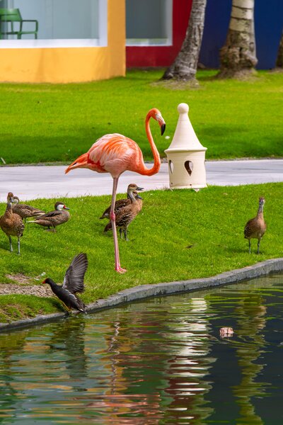 Tropical Princess Beach Resort & Spa 84