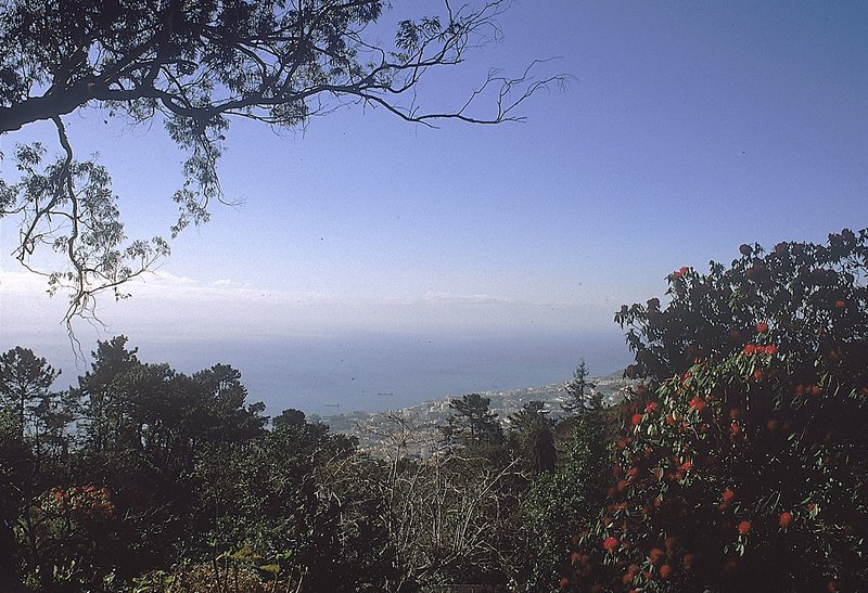 Quinta do Monte Panoramic Gardens 8