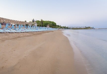 Lonicera World Hotel 13