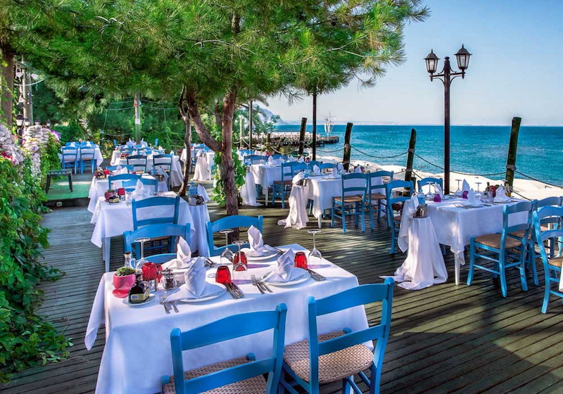 Gypsophila Club Marine 10