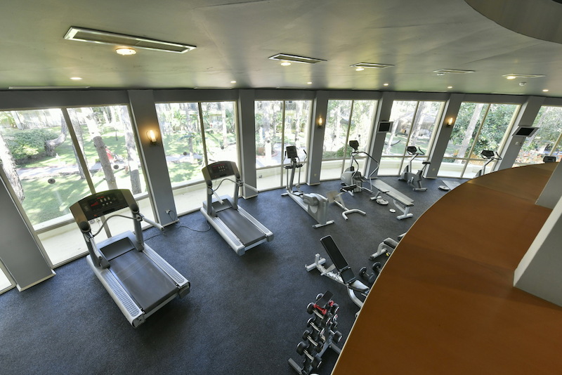 Gypsophila Club Marine 13