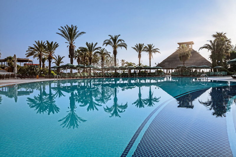 Gypsophila Club Marine 2