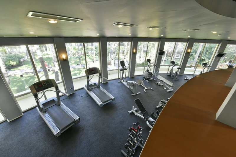 Gypsophila Club Marine 16