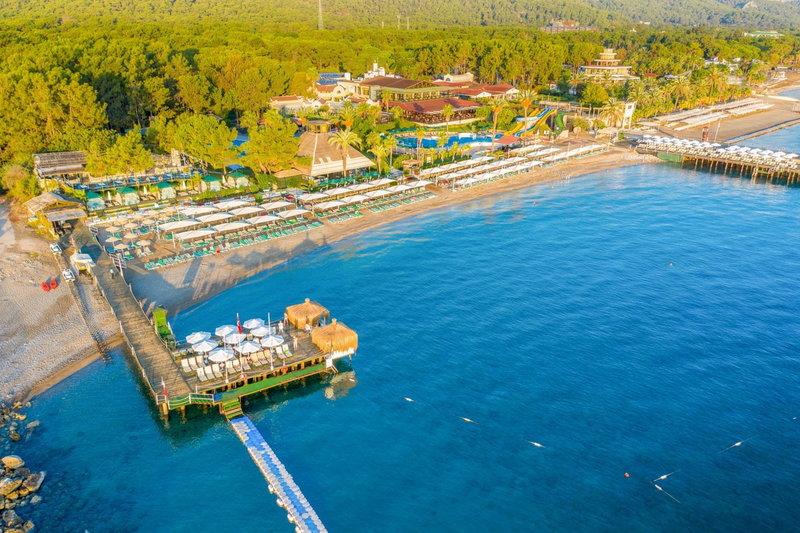 Gypsophila Club Marine 5