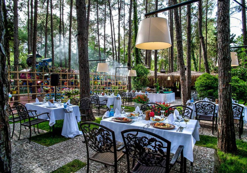 Gypsophila Club Marine 8