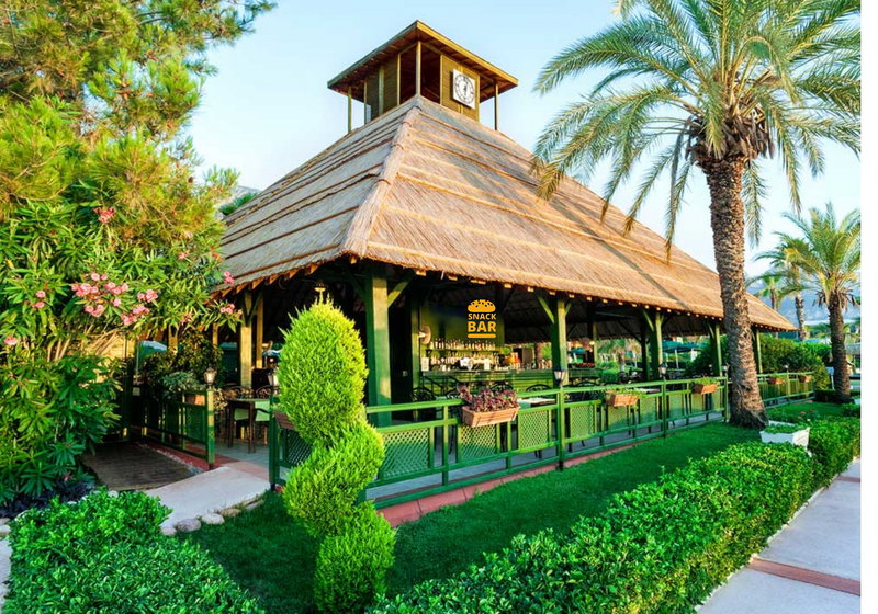 Gypsophila Club Marine 11