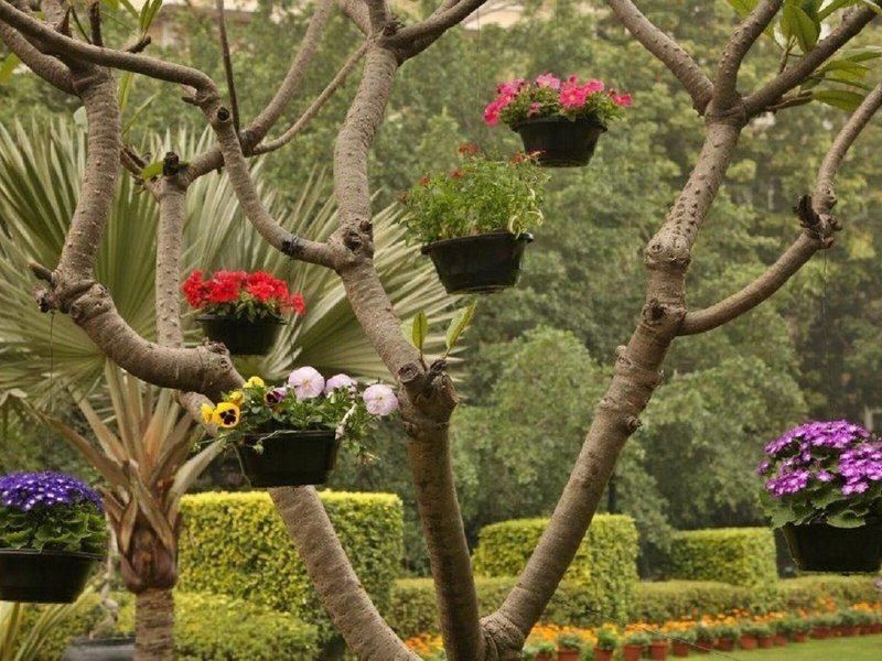 Taj Palace, New Delhi  9