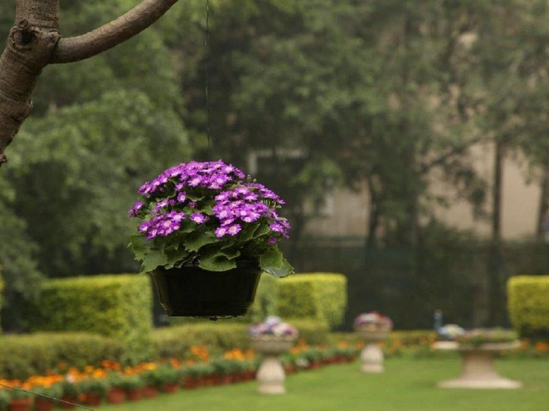 Taj Palace, New Delhi  10