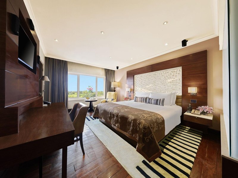 Taj Palace, New Delhi  45