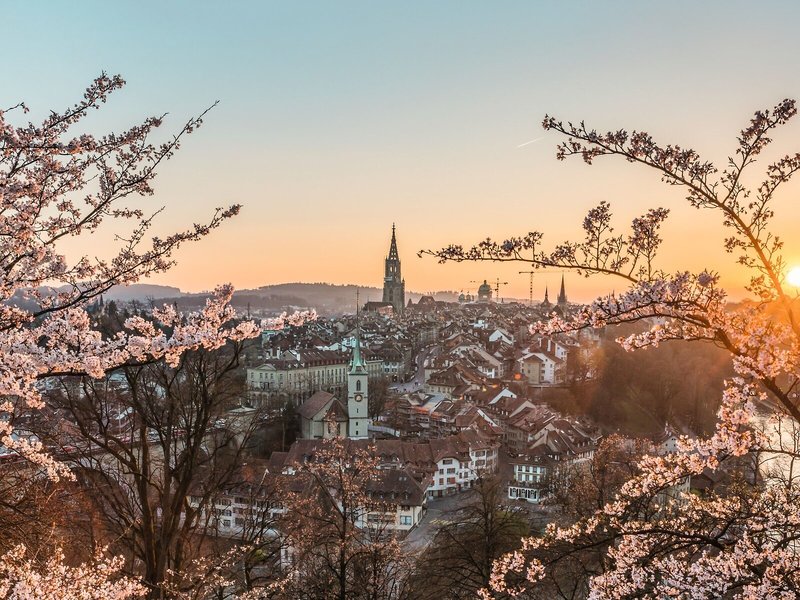 Schweizerhof Hotel & Spa Bern 6