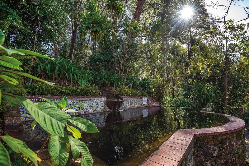 Quinta da Serra - Bio Hotel 8