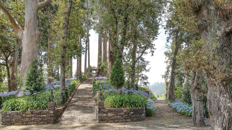 Quinta da Serra - Bio Hotel 9