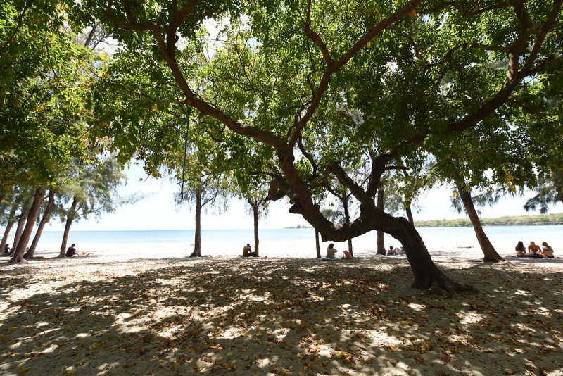 Veranda Tamarin 9 - Landscape