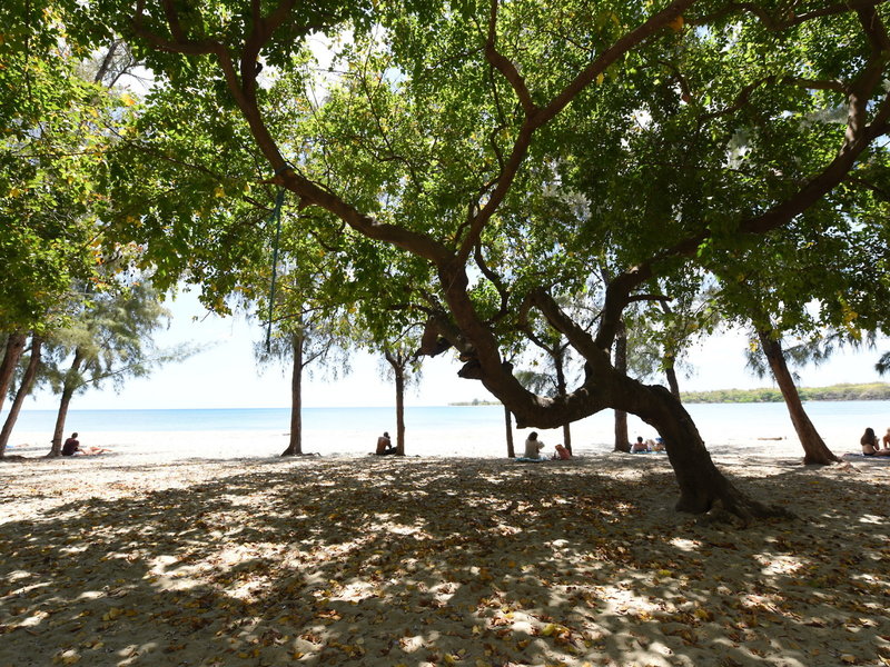 Veranda Tamarin  4