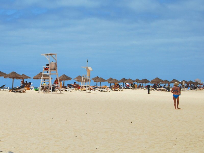 Oasis Belorizonte 8