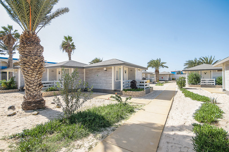 Oasis Belorizonte 6