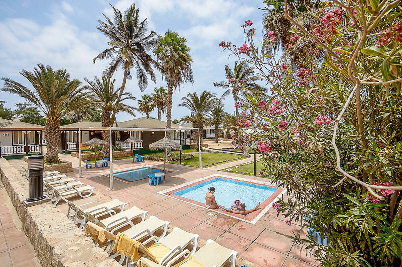 Oasis Belorizonte 7