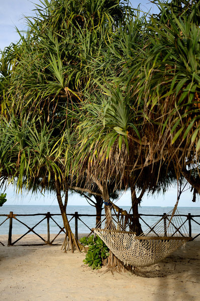 Ocean Paradise Resort 12