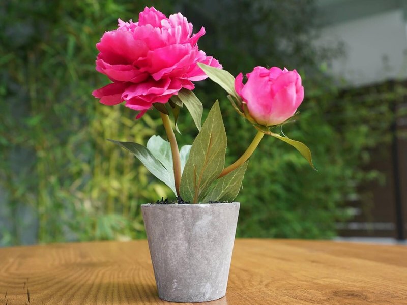 Olympus Thalassea Boutique Hotel 4