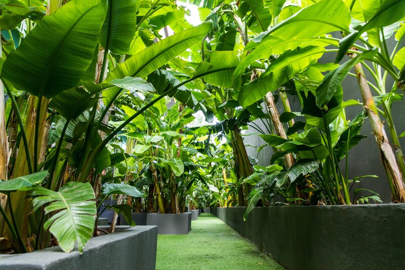 Maxx Royal Kemer Resort 70