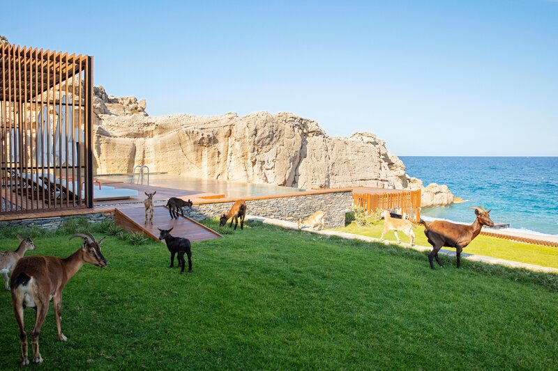 Maxx Royal Kemer Resort 143