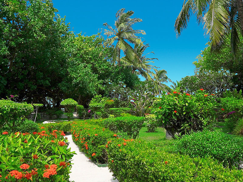 Adaaran Prestige Vadoo Maldives 11