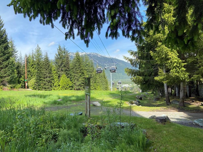 Blackcomb Springs Suites by Clique 5