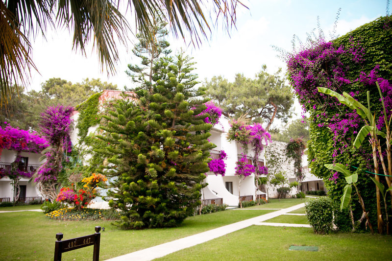 Club Boran Mare Beach 7