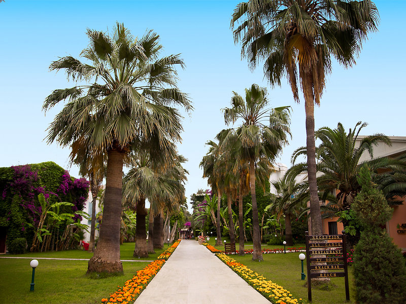 Boran Mare Beach Club 14