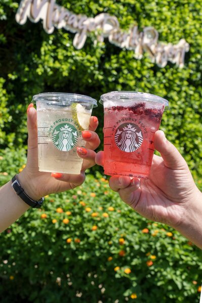 Mirage Park Resort 102