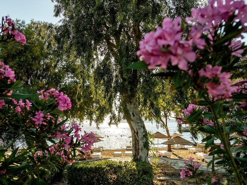 Yalipark Beach Hotel 5