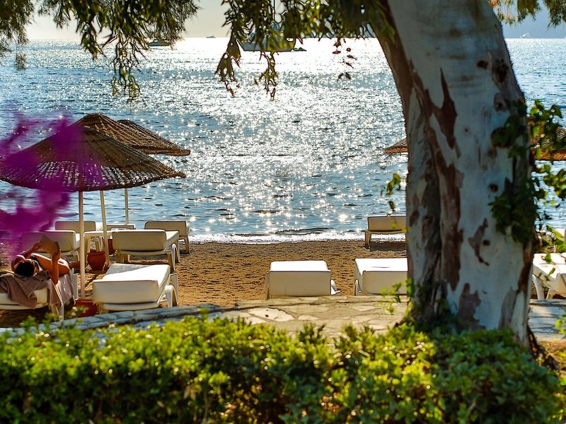 Yalipark Beach Hotel 7