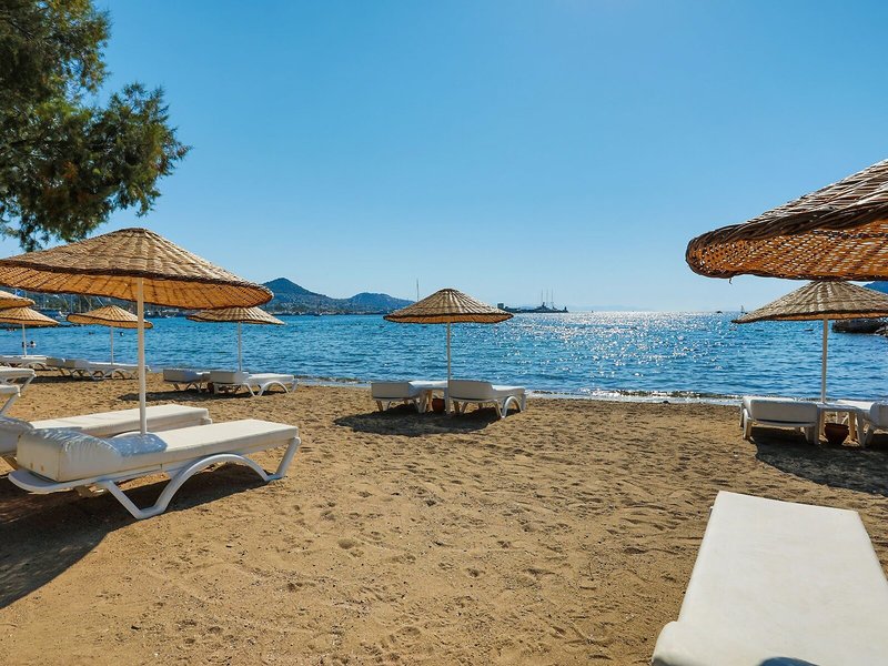 Yalipark Beach Hotel 10