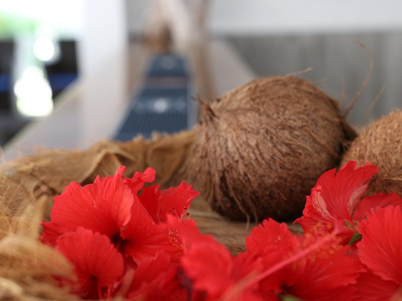 Hotel La Roussette 15