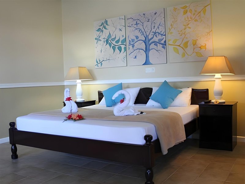 Hotel La Roussette 26