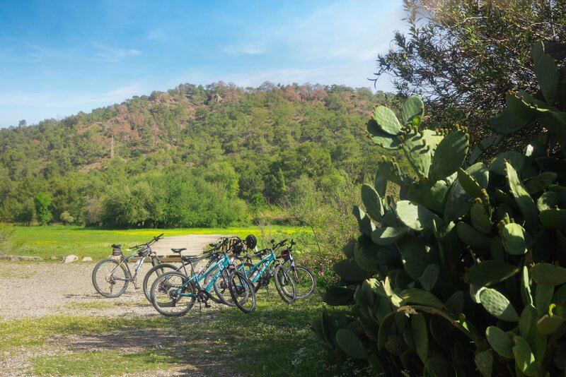 Amara Dolce Vita Luxury 7