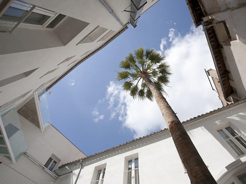 Puro Hotel Oasis Urbano 2