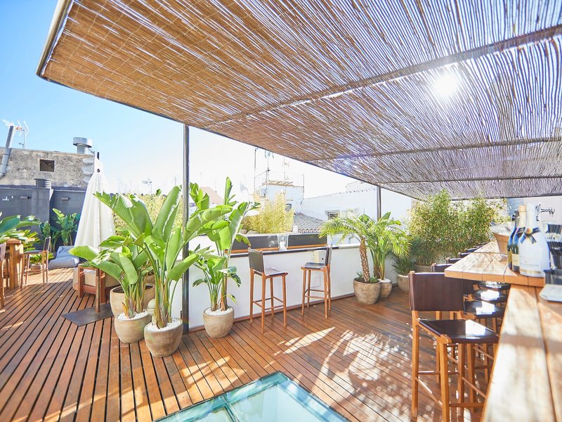 Puro Hotel Oasis Urbano 4