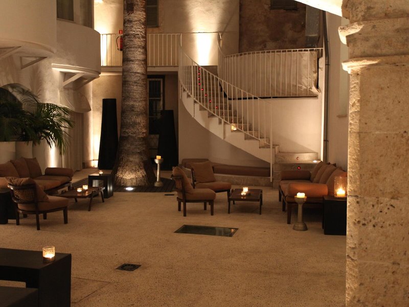 Puro Hotel Oasis Urbano 6