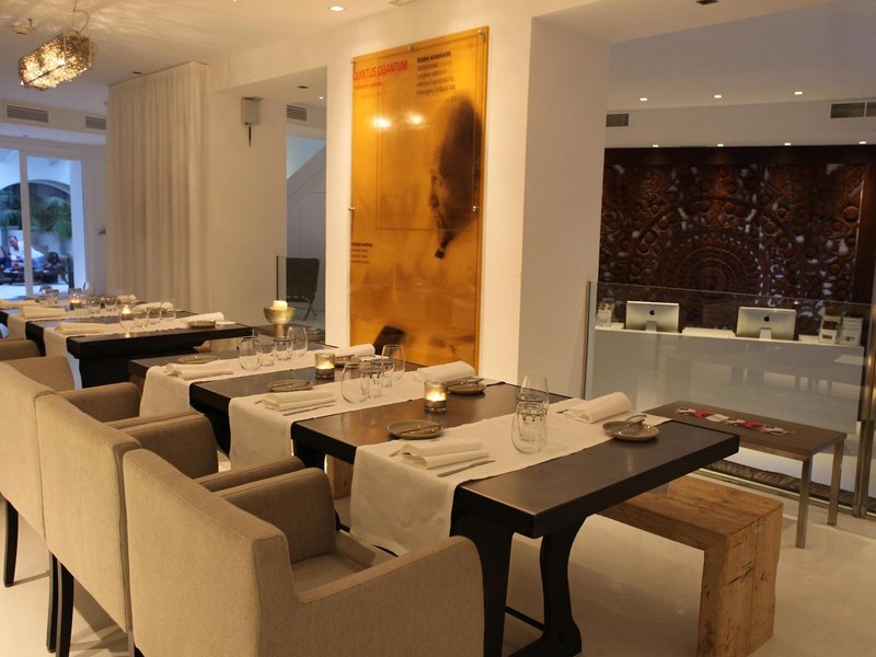 Puro Hotel Oasis Urbano 14