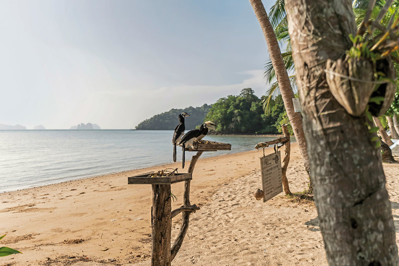 Paradise Koh Yao Boutique Beach Resort & Spa 10