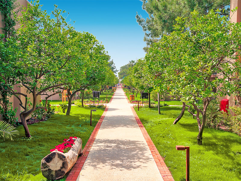 Pirate´s Beach Club 17