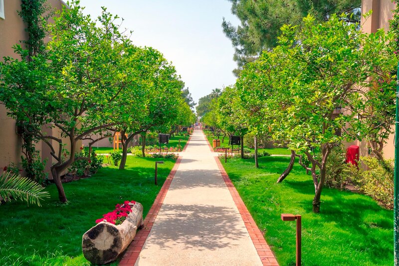 Pirate's Beach Club 46