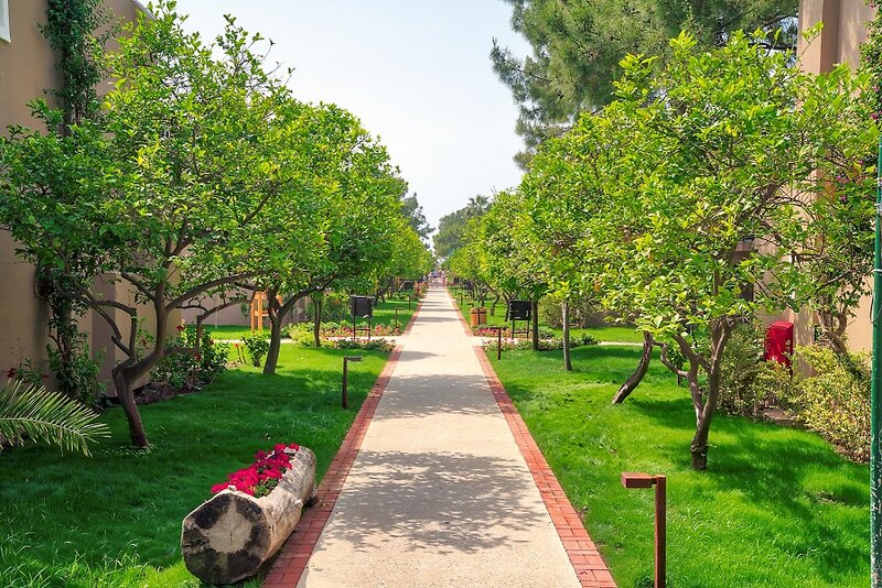 Pirate's Beach Club 13