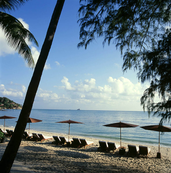 SALA Samui Choengmon Beach Resort 7