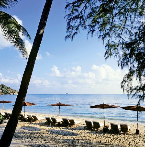 SALA Samui Choengmon Beach Resort 14