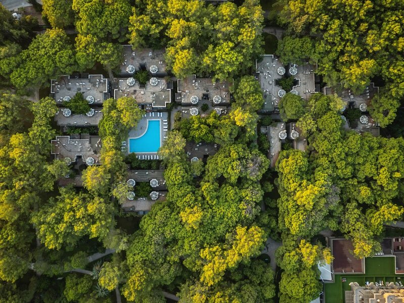 Paloma Foresta Resort & Spa  23